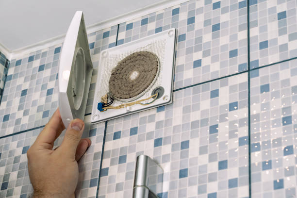 Best Ductwork Cleaning Services  in Newton, MS