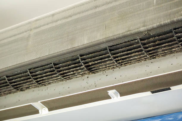 Best Emergency Air Duct Cleaning  in Newton, MS